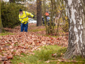 Pracovníci správy zeleně pracují celý rok. Místo sekání trávy nyní v Jihlavě uklízí listí