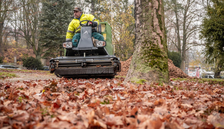 Pracovníci správy zeleně pracují celý rok. Místo sekání trávy nyní v Jihlavě uklízí listí. Foto: Se svolením Města Jihlava