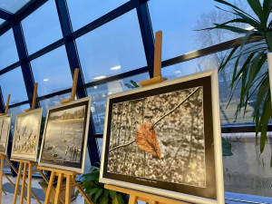 FOTO: Za Ladovskou zimou do Nového Města na Moravě. Výstava rodáka ze Žďáru nás přenese do dětství