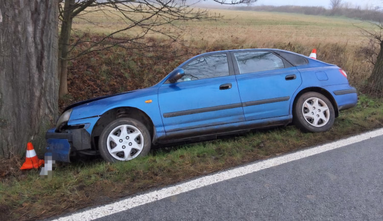 Honičku s policejním autem na Havlíčkobrodsku ukončil až náraz do stromu 