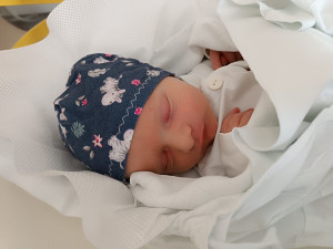 První letošní dítě na Vysočině se narodilo v 01:37 v jihlavské nemocnici, jmenuje se Matyáš