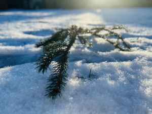 O víkendu se připravme na typické zimní počasí. Sněžit může i v nížinách