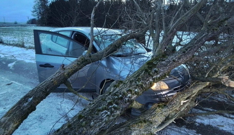FOTO: Hasiče na Vysočině zaměstnal silný vítr. Jeden z řidičů narazil do spadlého stromu