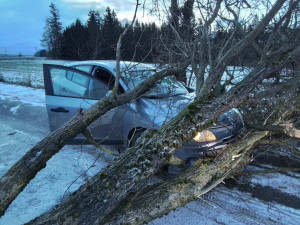 FOTO: Hasiče na Vysočině zaměstnal silný vítr. Jeden z řidičů narazil do spadlého stromu