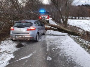 FOTO: Hasiče na Vysočině zaměstnal silný vítr. Jeden z řidičů narazil do spadlého stromu