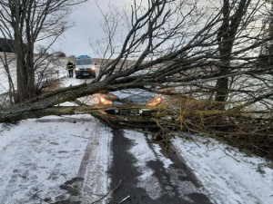 FOTO: Hasiče na Vysočině zaměstnal silný vítr. Jeden z řidičů narazil do spadlého stromu