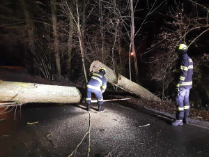 FOTO: Hasiče na Vysočině zaměstnal silný vítr. Jeden z řidičů narazil do spadlého stromu