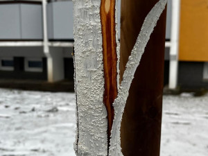 FOTO: Vandalismus ve Žďáru nad Sázavou. Někdo zde záměrně ničí stromy, do případu už se vložila policie