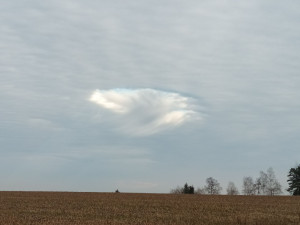 foto: Veronika Svobodová, Pasečnice na Domažlicku