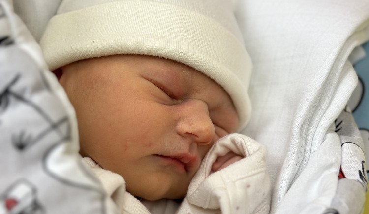 Ilustrační foto. Foto: Se svolením Jitky Mácové