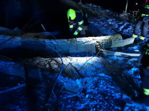 FOTO: Mráz láme větve, hasiči měli přes 30 výjezdů. Na Jihlavsku spadl na projíždějící náklaďák strom