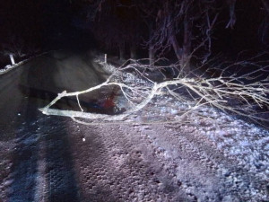 FOTO: Mráz láme větve, hasiči měli přes 30 výjezdů. Na Jihlavsku spadl na projíždějící náklaďák strom