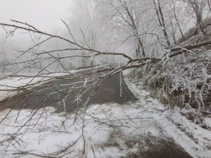 FOTO: Mráz láme větve, hasiči měli přes 30 výjezdů. Na Jihlavsku spadl na projíždějící náklaďák strom