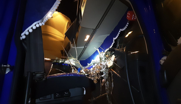 Mráz láme větve, hasiči měli přes 30 výjezdů. Na Jihlavsku spadl na projíždějící náklaďák strom