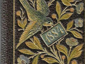 FOTO: Sběratel z Moravských Budějovic vlastní největší kolekci kapesních kalendářů v ČR