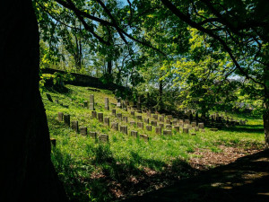 Židovský hřbitov, foto: Pavel Rybníček