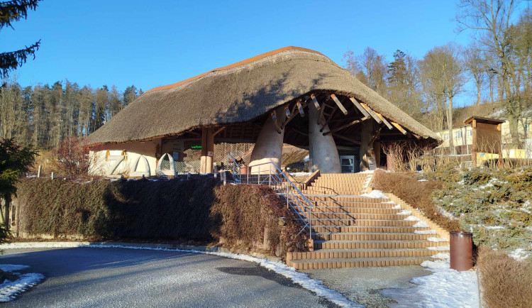 Mrazy zvířatům v zoo nevadí. Otužilé jsou surikaty, zebry, primáti, plameňáci snesou až deset stupňů pod nulou