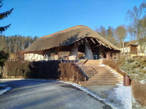 Mrazy zvířatům v zoo nevadí. Otužilé jsou surikaty, zebry, primáti, plameňáci snesou až deset stupňů pod nulou