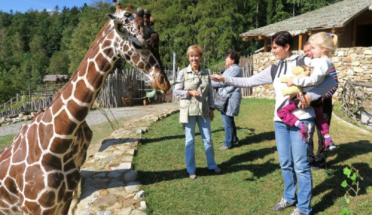 Rodiče, připravte se. V sobotu ve čtyři hodiny odpoledne začíná možnost hlásit děti na tábor v zoo