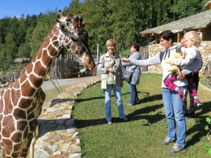 Rodiče, připravte se. V sobotu ve čtyři hodiny odpoledne začíná možnost hlásit děti na tábor v zoo