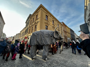 VIDEO: Veselý masopust v centru Jihlavy. V průvodu šla zvířata ze zoo, nadživotní loutky i moderátor v televizi