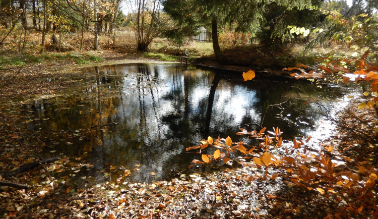 Lokalita Na Skřivánku. Foto: Se svolením ČSOP