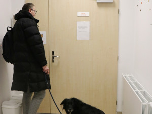 Za pacienty do novoměstské nemocnice chodí čtyřnohý lékař lidských duší. Foto: Se svolením Nemocnice Nové Město na Moravě