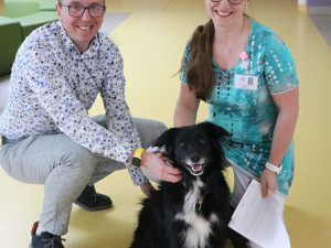Za pacienty do novoměstské nemocnice chodí čtyřnohý lékař lidských duší. Foto: Se svolením Nemocnice Nové Město na Moravě