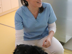 Za pacienty do novoměstské nemocnice chodí čtyřnohý lékař lidských duší. Foto: Se svolením Nemocnice Nové Město na Moravě