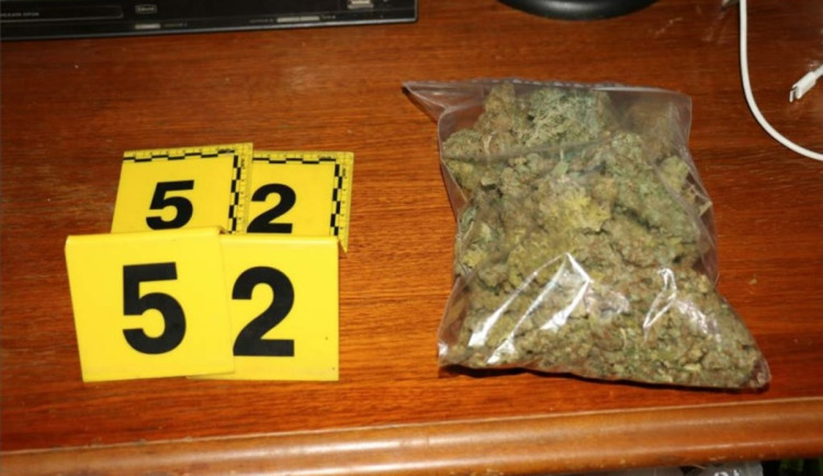 Pěstiteli konopí hrozí až 12 let za mřížemi, kriminalisté u něj doma našli desítky kilo usušené marihuany