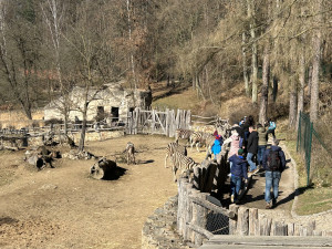 VIDEO: Konec prázdnin v Zoo Jihlava. Snové počasí, davy návštěvníků a nahřáté zvířecí kožíšky