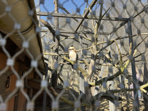 VIDEO: Konec prázdnin v Zoo Jihlava. Snové počasí, davy návštěvníků a nahřáté zvířecí kožíšky