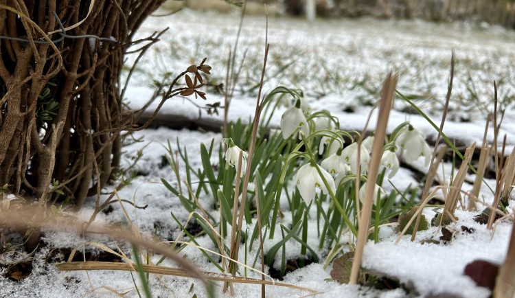 Meteorologové: Po chladném začátku týdne se začne oteplovat, o víkendu naměříme až 18 stupňů