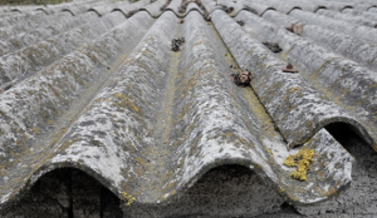 Ilustrační foto. Foto: Se souhlasem Ministerstva zemědělství