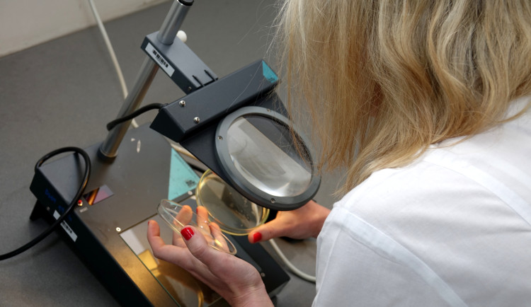 Máte ve studni čistou a nezávadnou vodu? Její kvalitu je po zimě potřeba zkontrolovat, míní experti