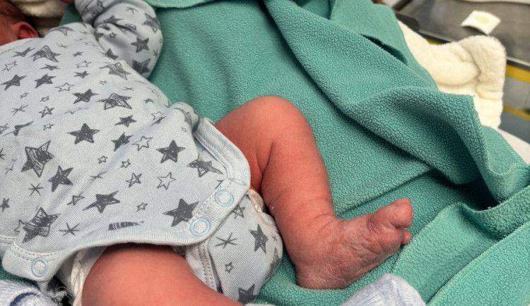 Do babyboxu v Jihlavě někdo odložil romského chlapečka, dostal jméno František. Byl zabalený jen do deky