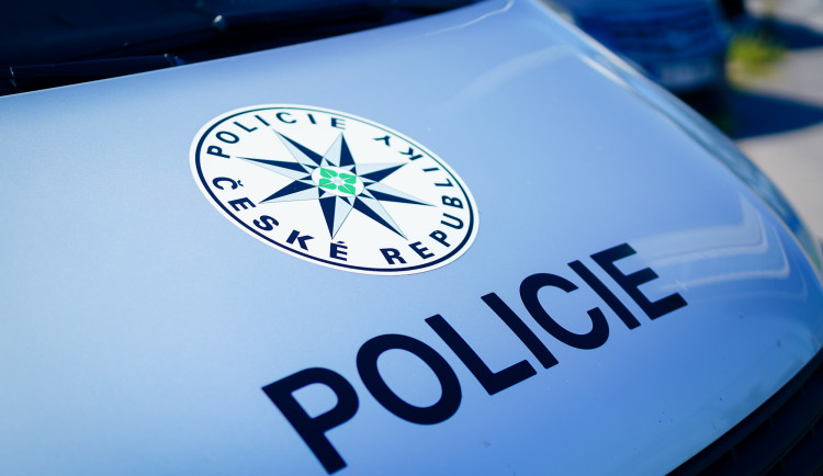 Pes na Prachaticku napadl muže. Ten na místě zemřel