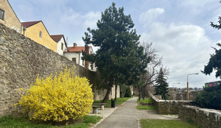 Lidé bez domova v Jihlavě pomáhají s úklidem hradeb. Dostanou za to stravenky
