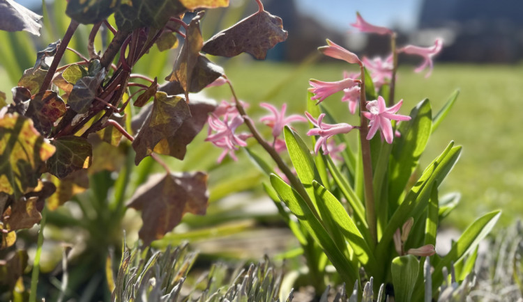 O víkendu bude na Vysočině oblačno až polojasno. Teplota vystoupá až na příjemných 21 stupňů
