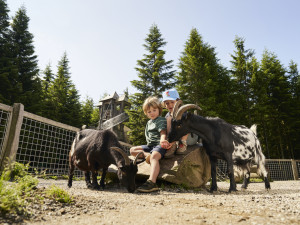 Království lesa na Lipně zahajuje denní provoz, užijte si zde Velikonoce