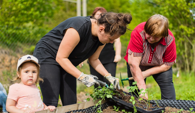 Začínají Dny dobrovolnictví, lidé budou moci sázet stromy i pomáhat s akcemi pro děti