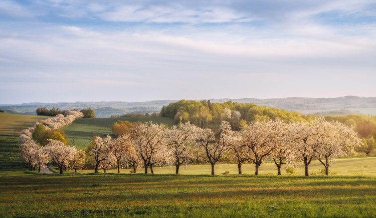 Krajina u Horního Smrčného , foto David Vančišin