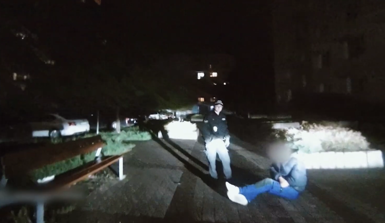 VIDEO: Jsem Adolf Hitler, tvrdil silně opilý muž, který se válel na chodníku