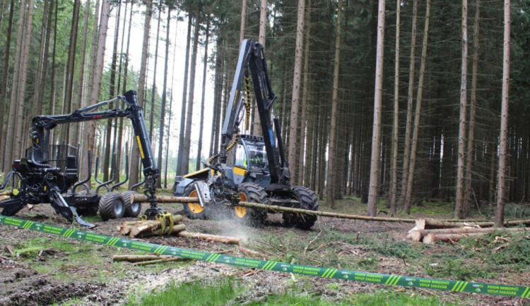 Kůrovcová kalamita v lesích ustoupila, ale kvůli suchu se výhledově může vrátit