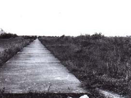 U obce Čestlice u Prahy byly v listopadu 1939 vybetonovány odstavné pruhy v šířce 2,25 m. Fotografie pochází ze šedesátých let, zdroj: ceskedalnice.cz