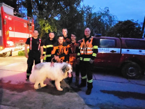 Hasiči na Žďársku vytáhli psa z kamenolomu. Chlapi, děkuji mnohokrát, říká majitelka