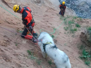 Hasiči na Žďársku vytáhli psa z kamenolomu. Chlapi, děkuji mnohokrát, říká majitelka