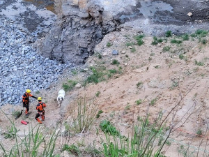 Hasiči na Žďársku vytáhli psa z kamenolomu. Chlapi, děkuji mnohokrát, říká majitelka