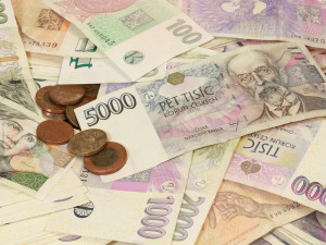 Zemědělské ceny prudce vzrostly: Největší zdražení u vajec a skotu
