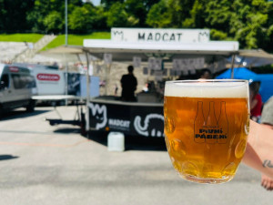Kulturní tipy: Pivo poteče v Jihlavě a Třebíči proudem, Polná sází na víno
